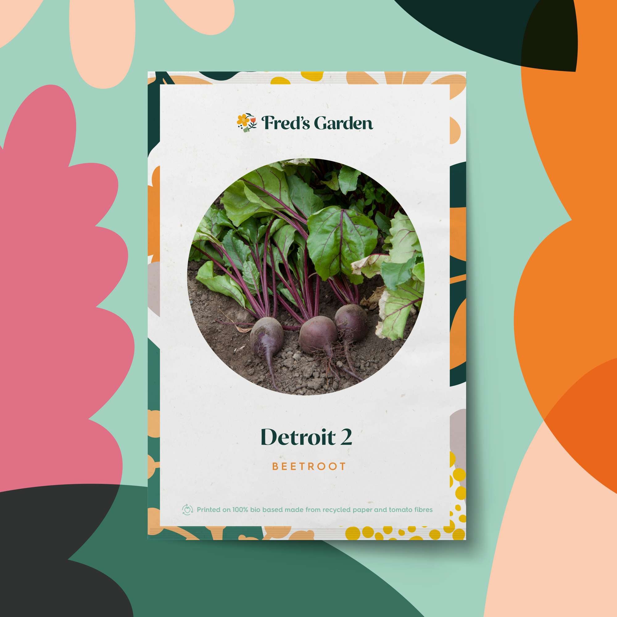 Rödbeta 'Detroit 2' (frö)